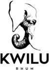 footer-logo